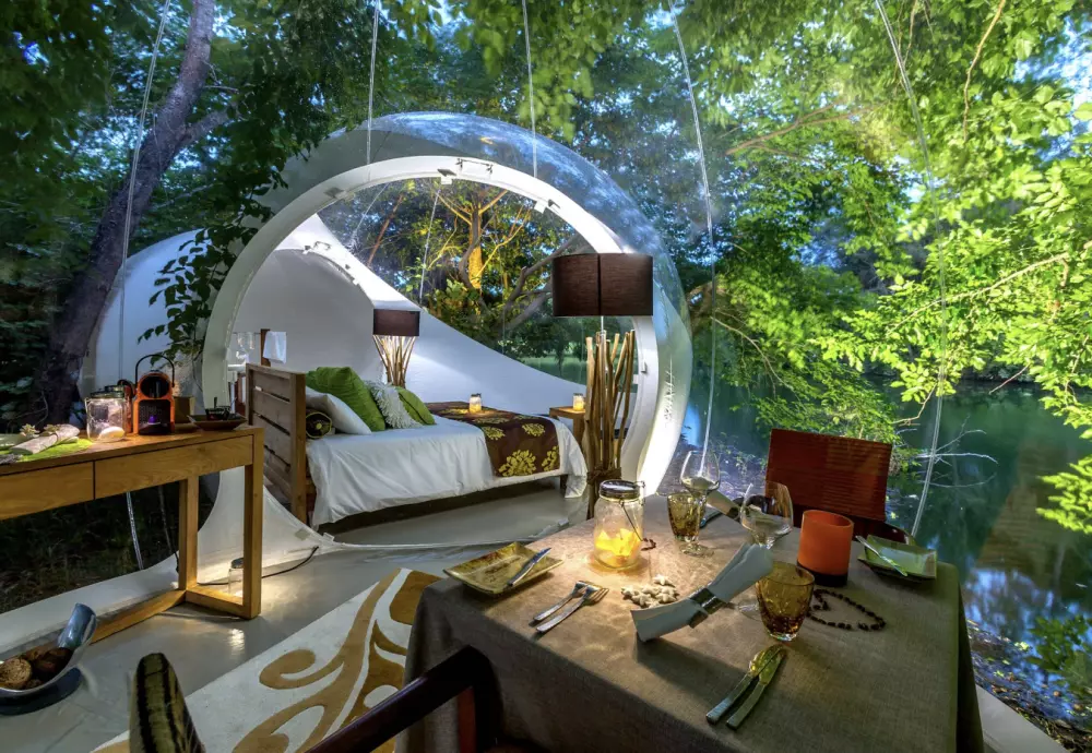 bubble tree bubble tent